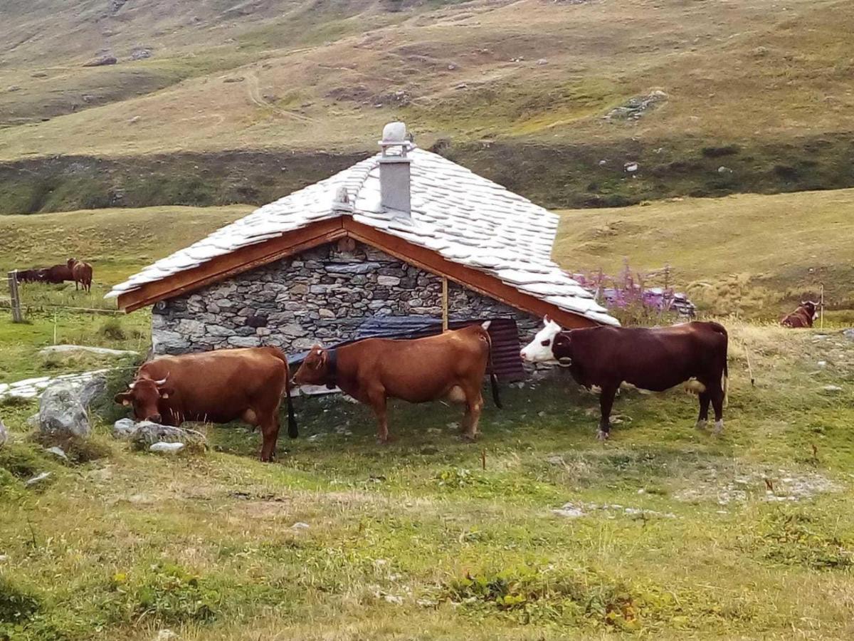 Les Balcons Proche Parc National Vanoise Appartements 2 Pieces 6 Pers Montagne Superieur Termignon Luaran gambar