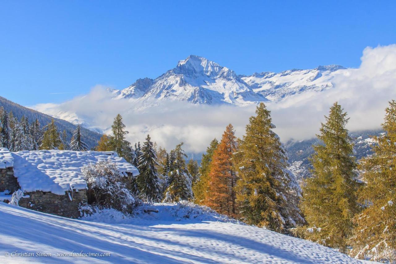 Les Balcons Proche Parc National Vanoise Appartements 2 Pieces 6 Pers Montagne Superieur Termignon Luaran gambar